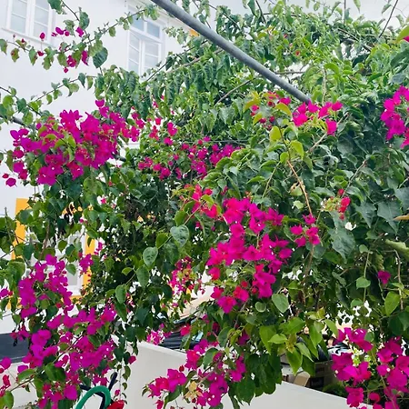 Lägenhet Casa Da Arquitectura - Urbanismo *