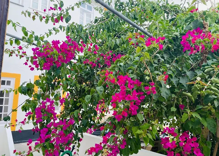 Lägenhet Casa Da Arquitectura - Urbanismo *